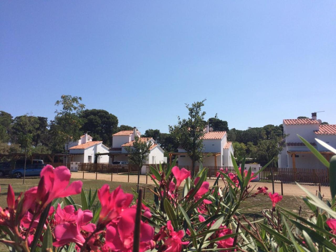 Villas Empuries, Garden & Private Pool Sant Marti d'Empuries Luaran gambar